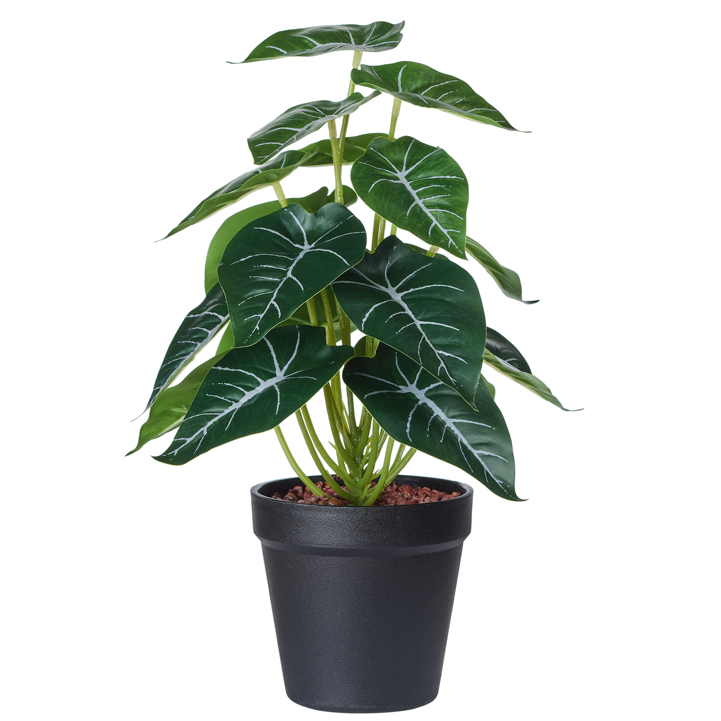 POT GM DE SYNGONIUM - REAL TOUCH