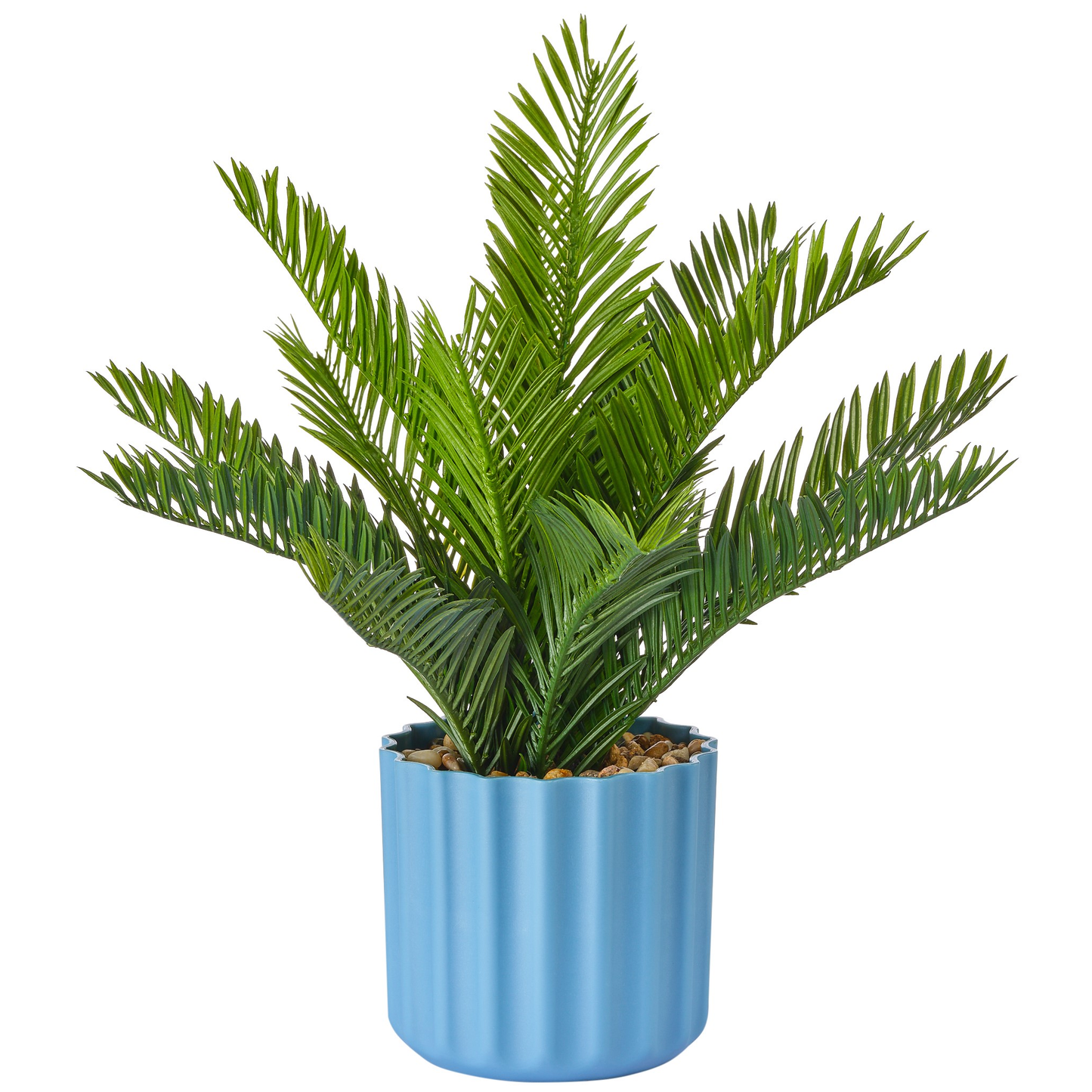 PHOENIX EN POT BLEU