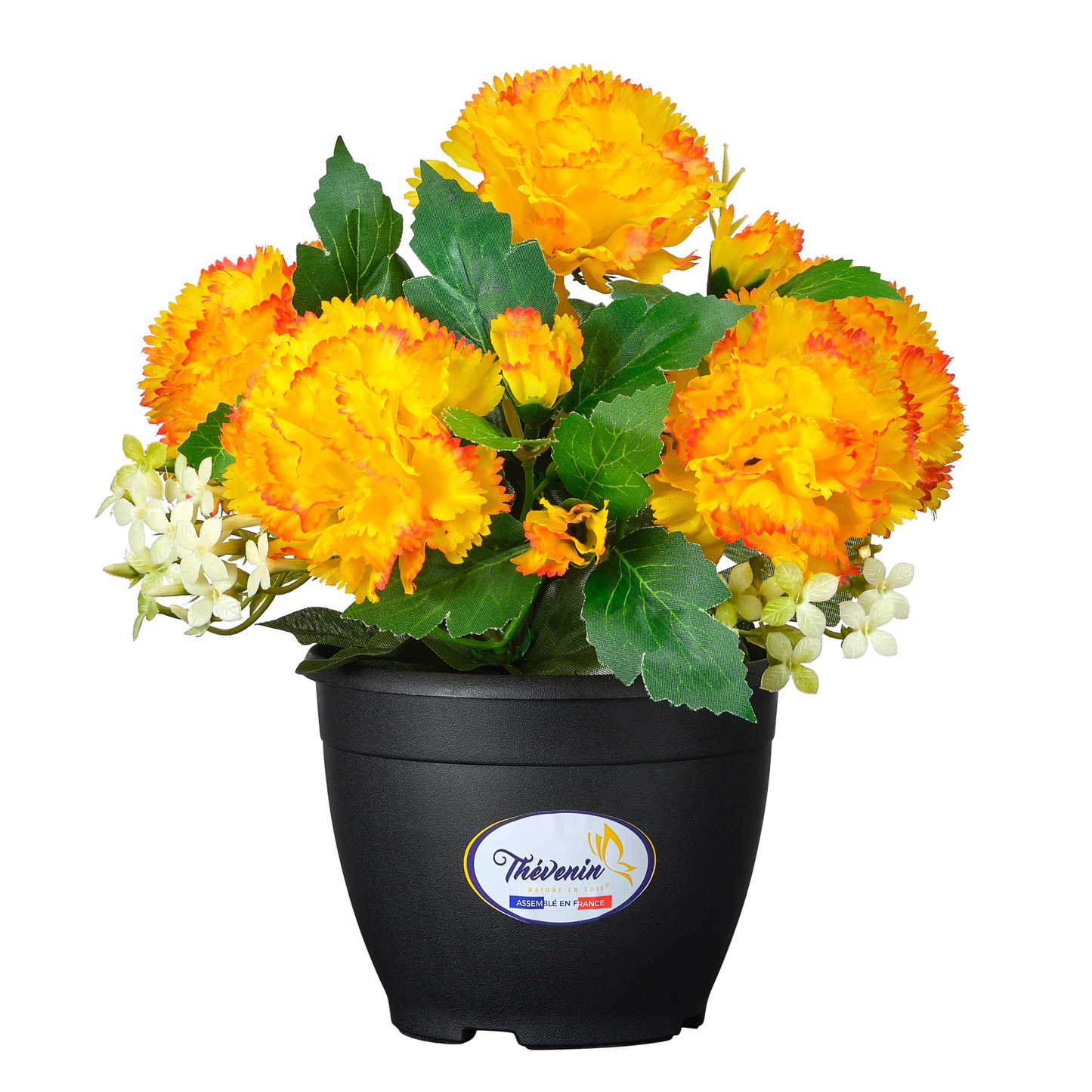POT D ŒILLETS FLEURETTES