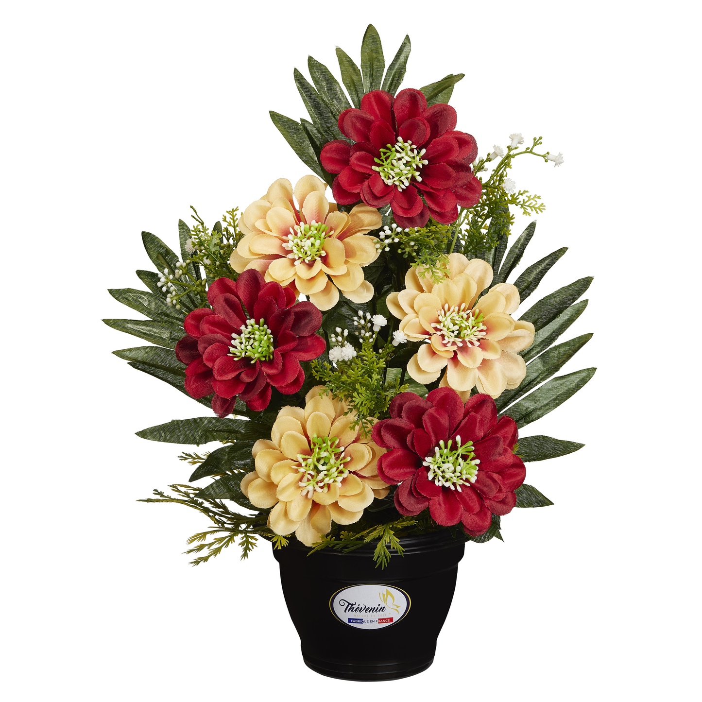 FRONTON DE DAHLIAS/GYPSO