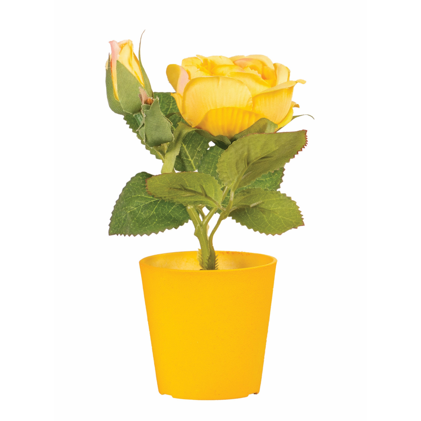 POT DE PIVOINE