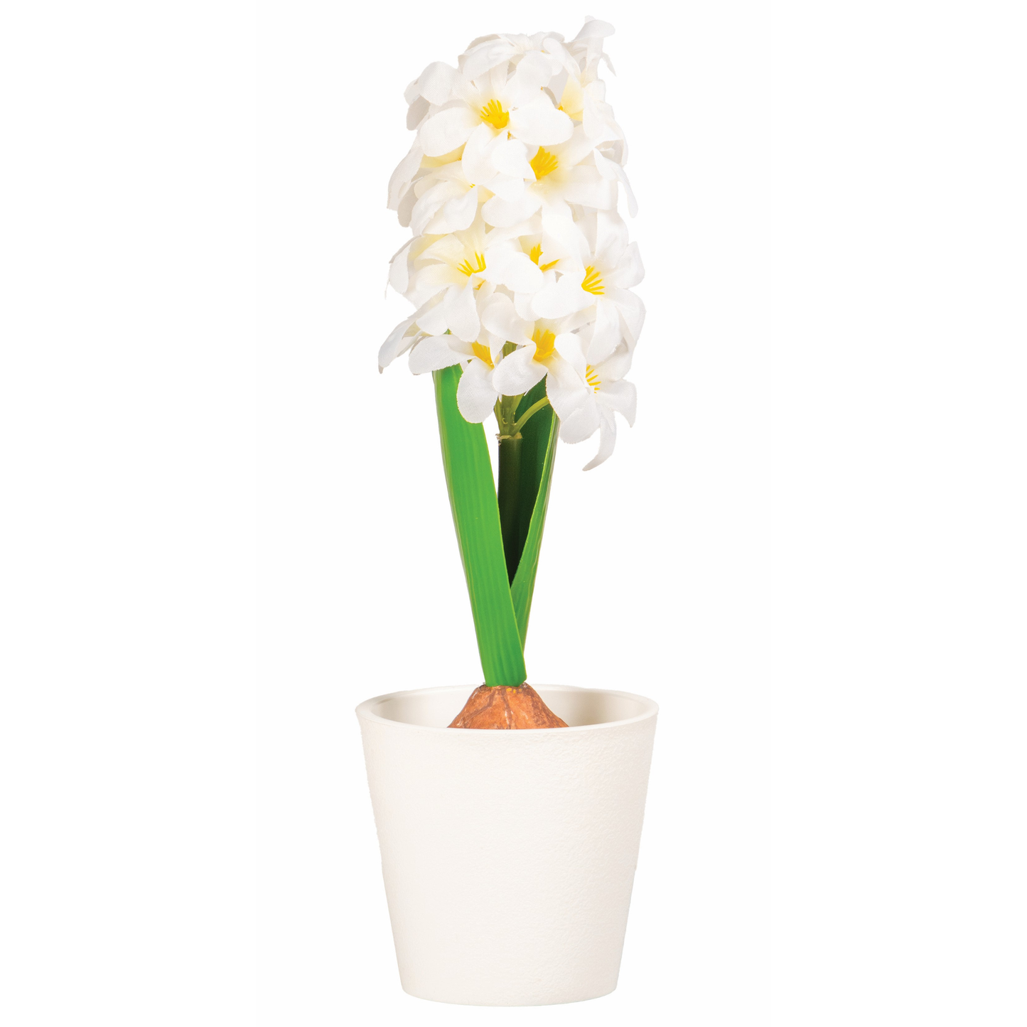 POT DE JACYNTHE