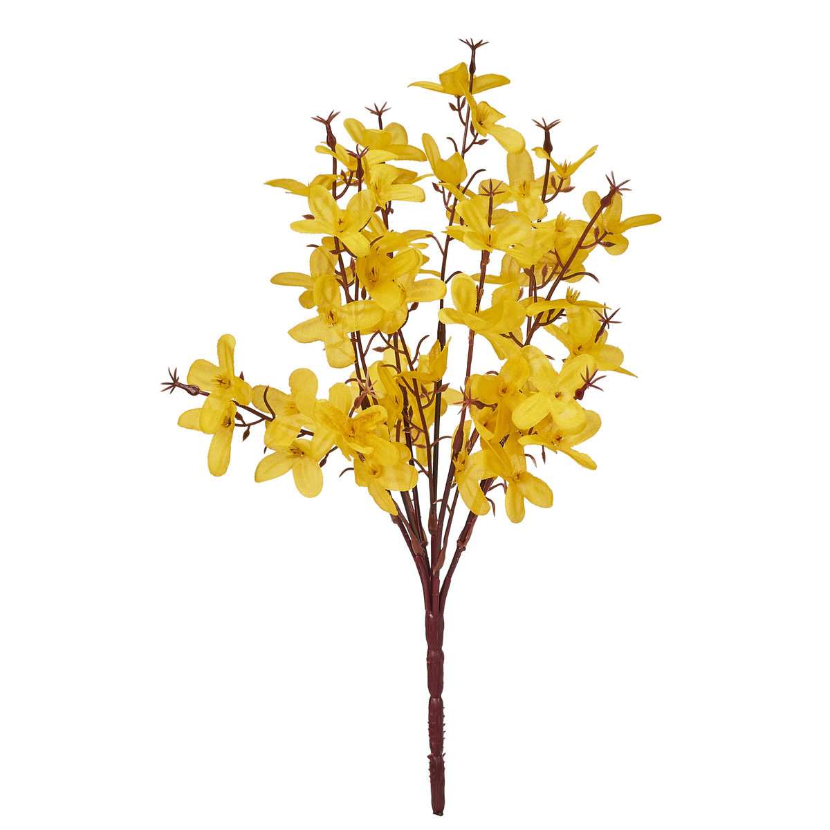 BOUQUET DE FORSYTHIAS