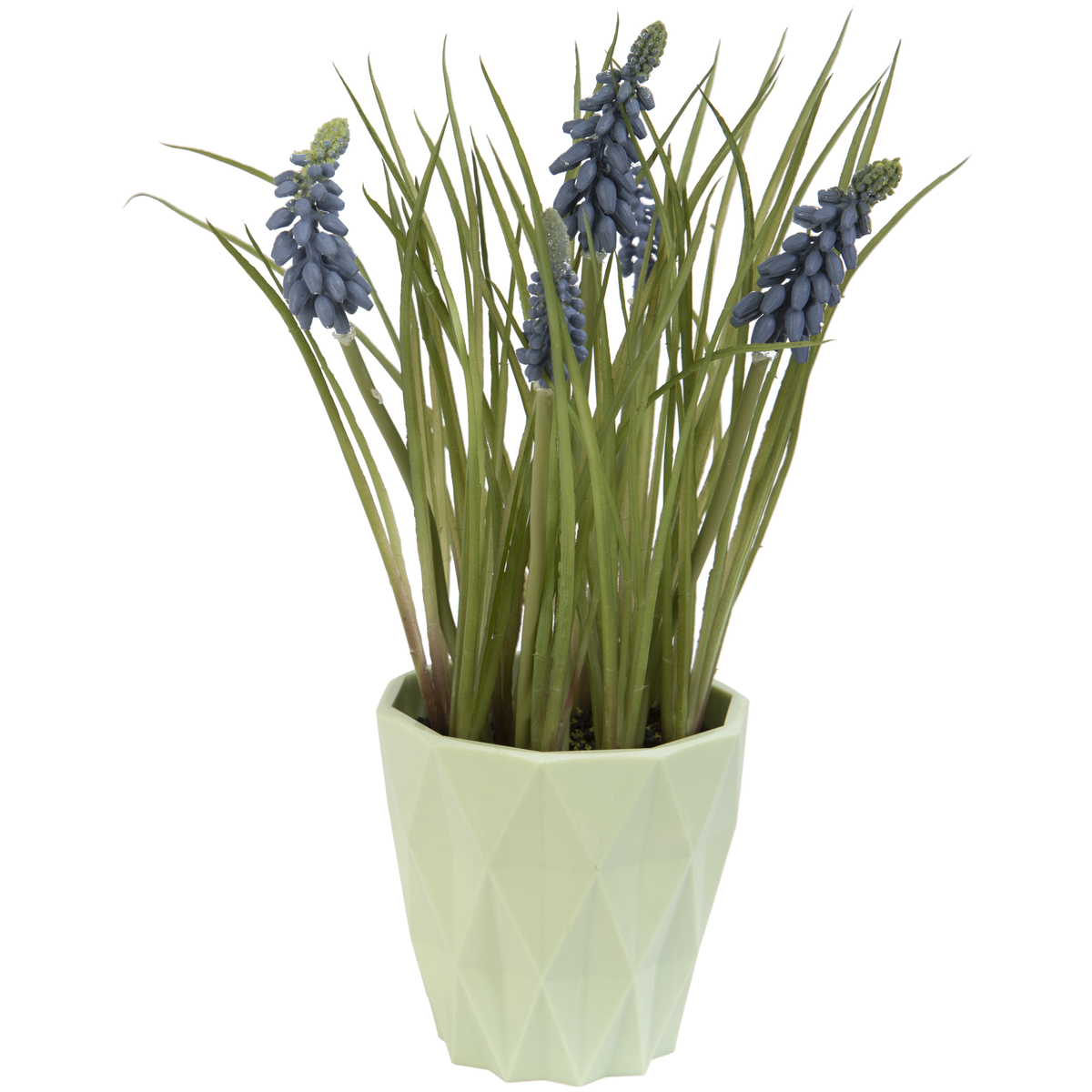 POT COLORE DE PRINTEMPS