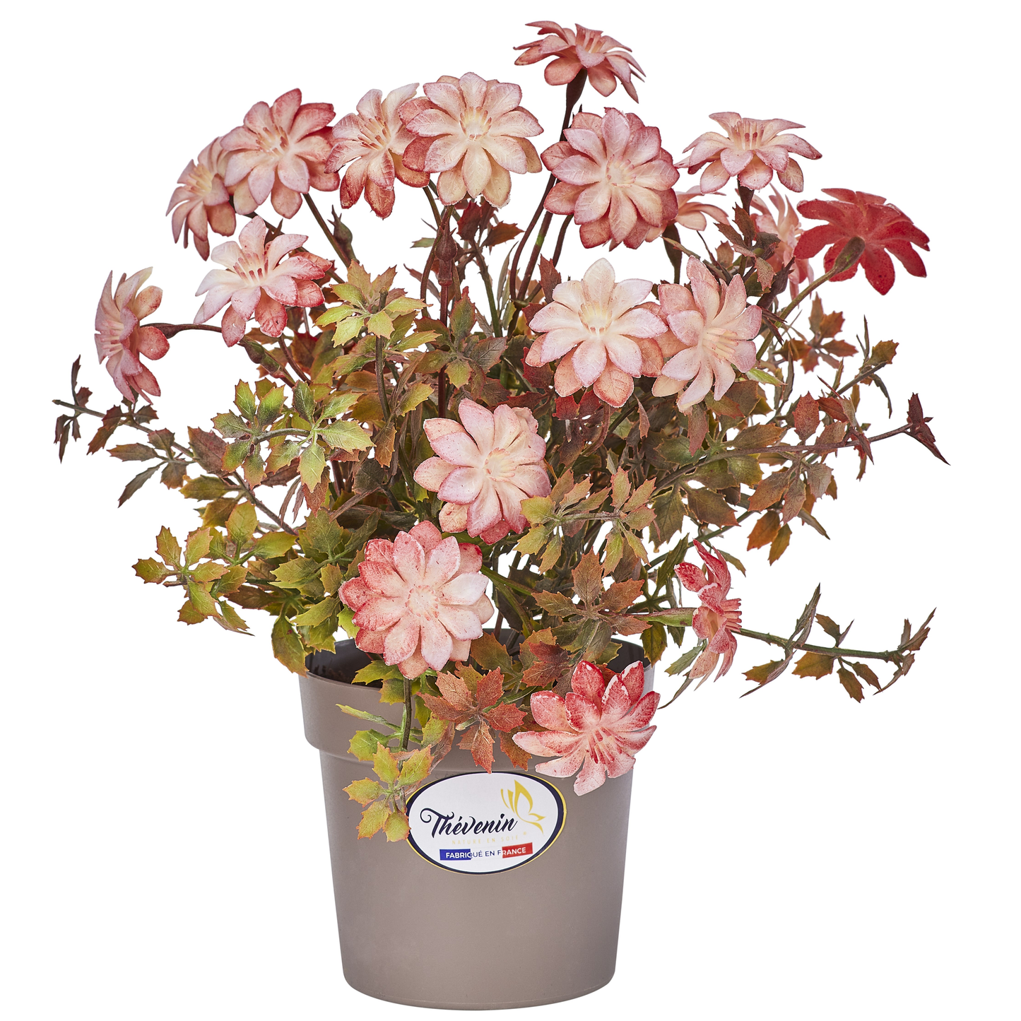 POT DE GERMINIS - EFFET FLEURS SECHEES