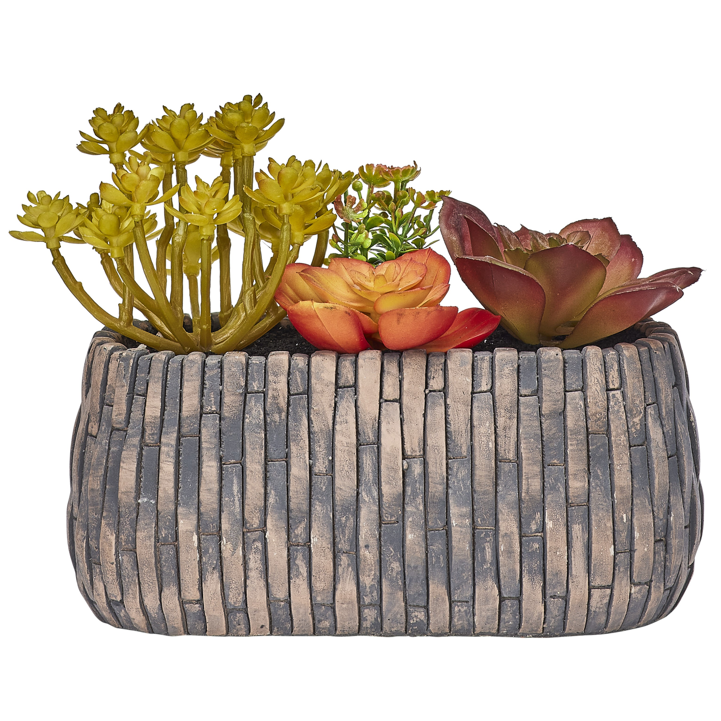 CORBEILLE DE SUCCULENTES AUTOMNALES
