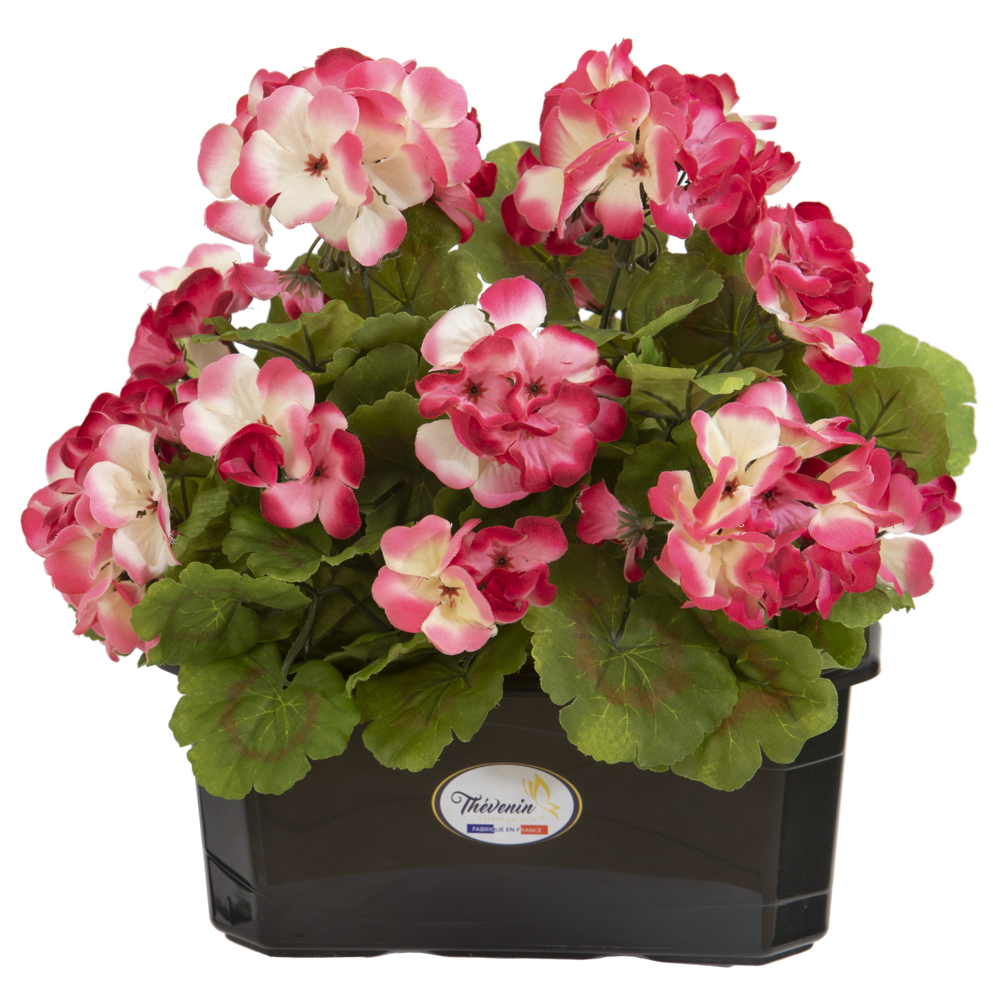 JARDINIERE DE GERANIUMS