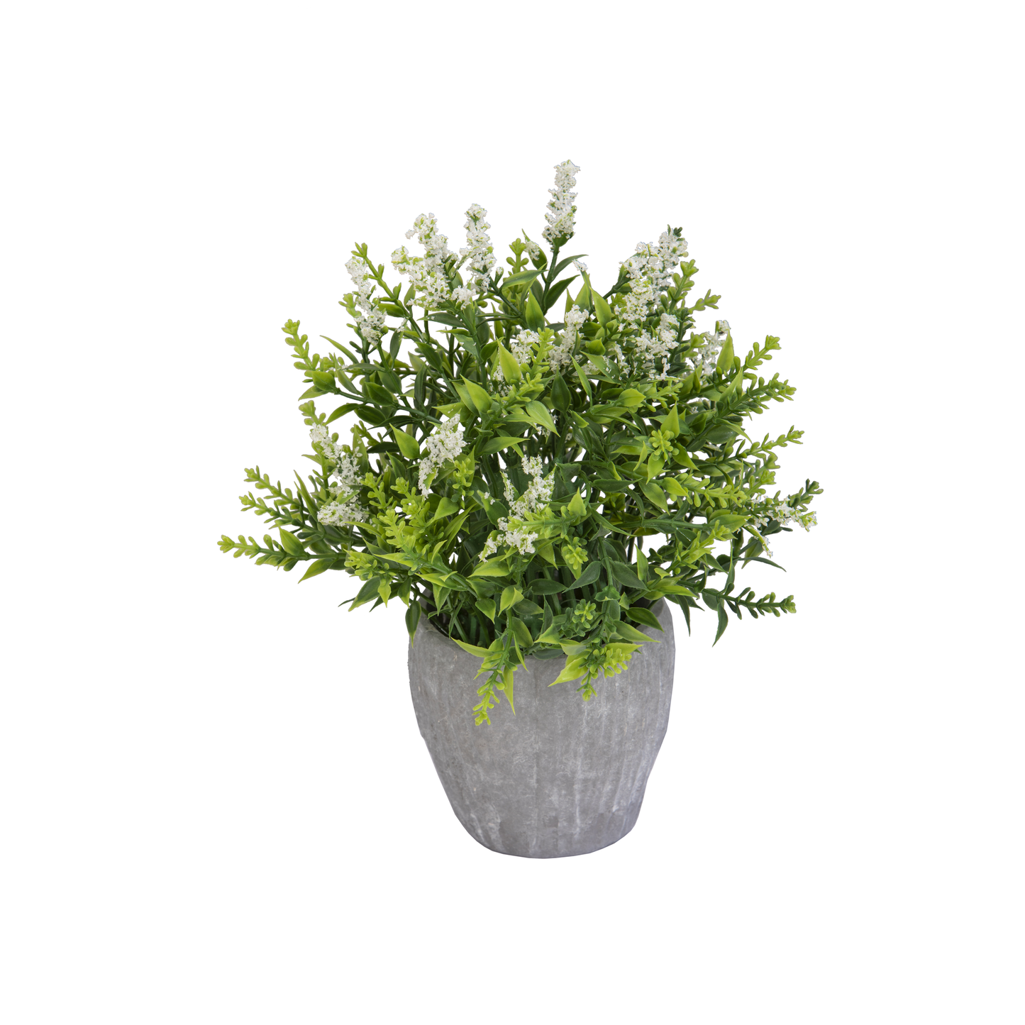 GRAMINES COLORES DANS POT GRIS