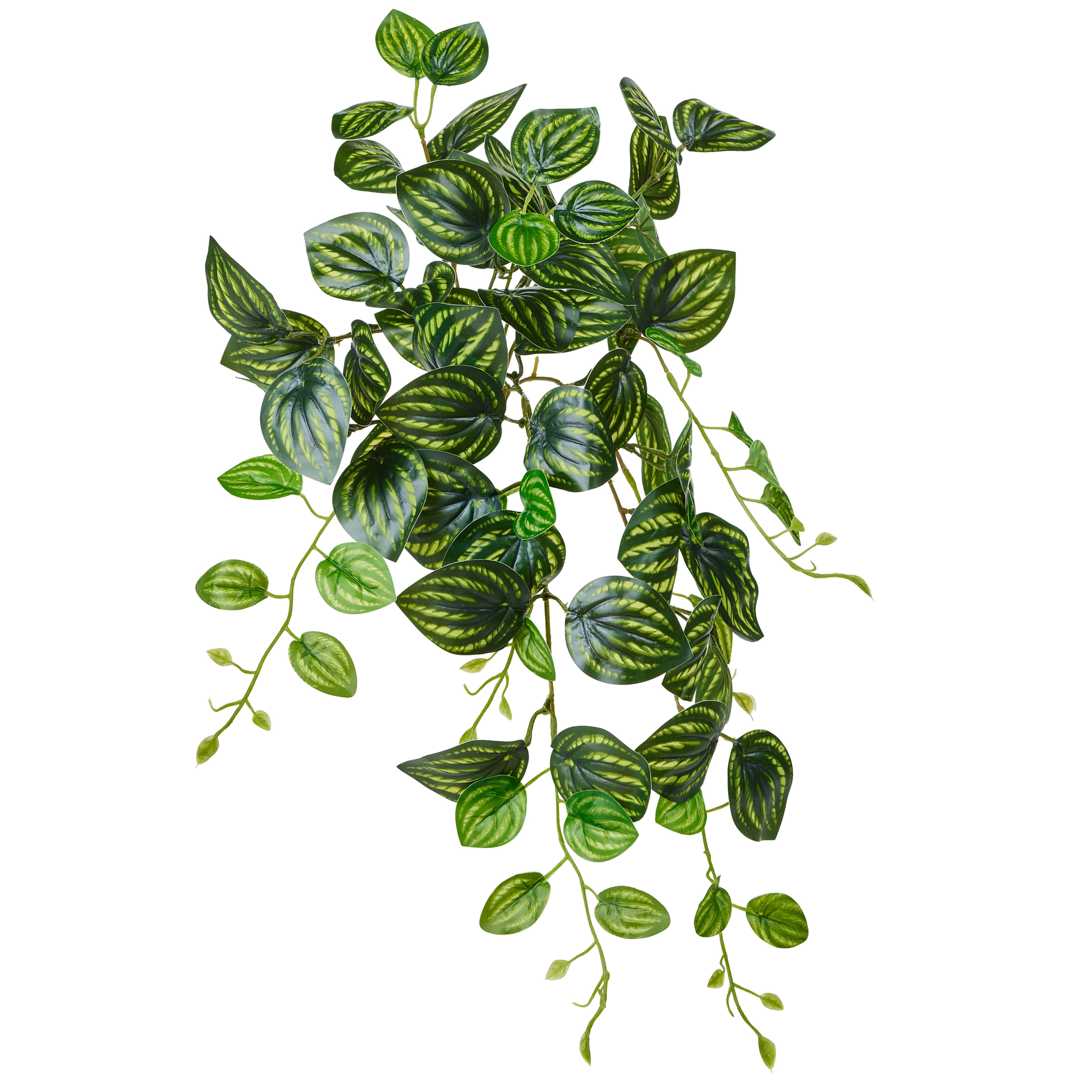 CHUTE DE POTHOS