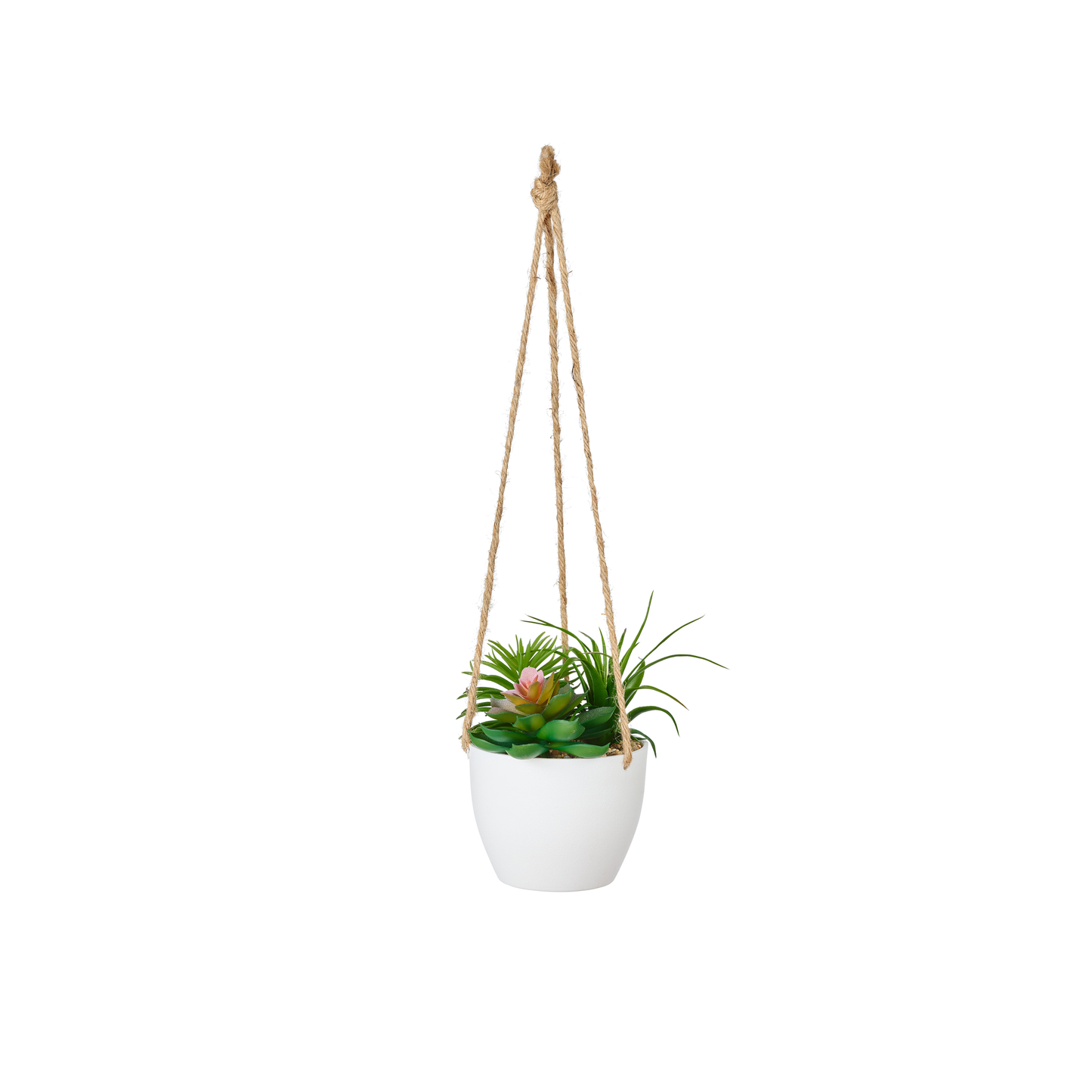 SUSPENSION DE PLANTES GRASSES