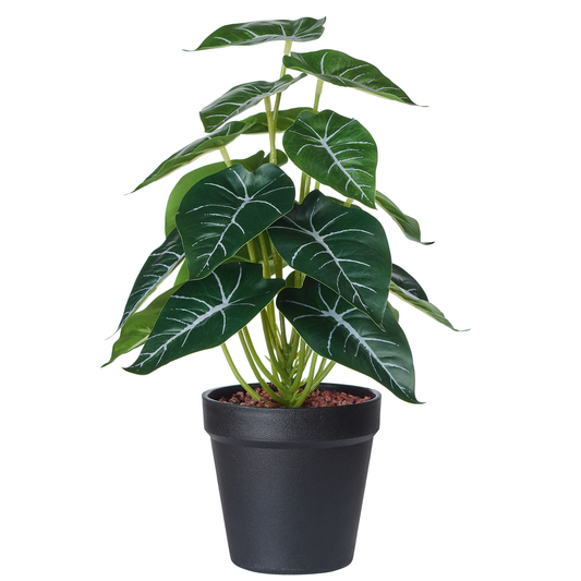 POT GM DE SYNGONIUM - REAL TOUCH
