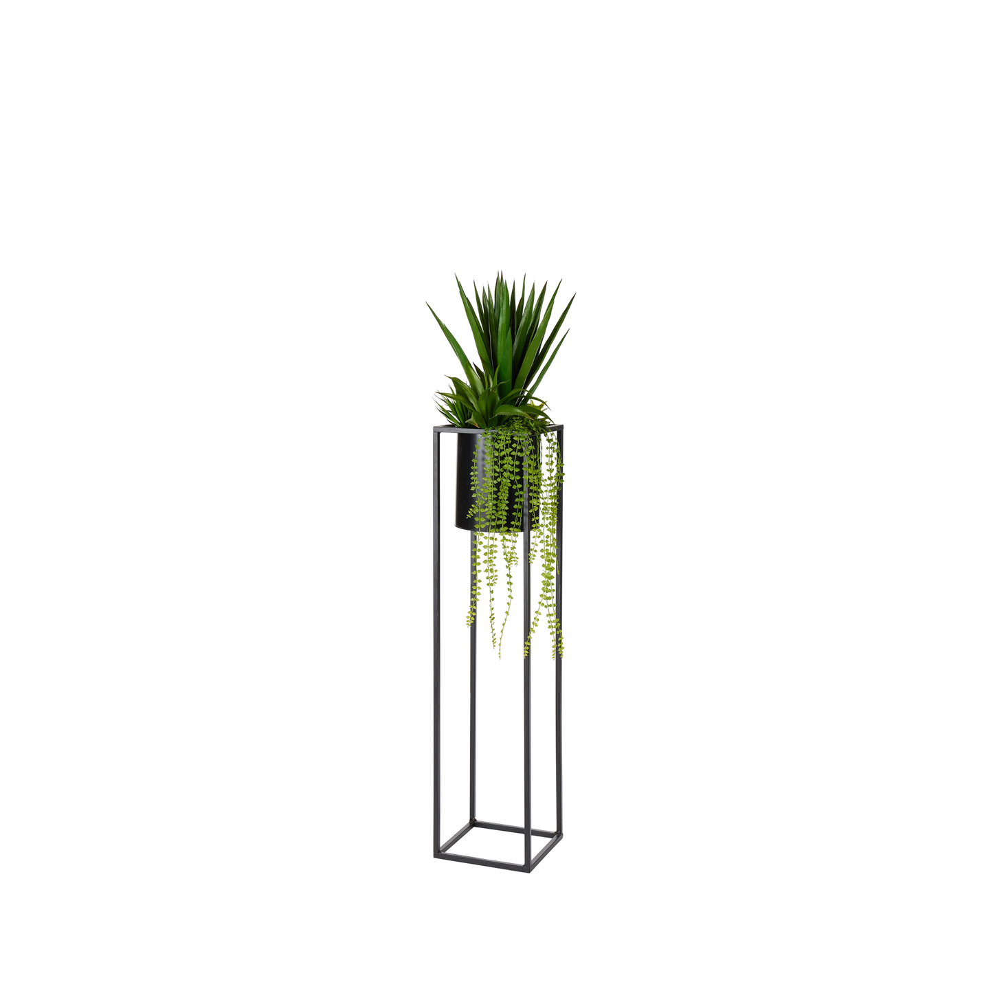 COMPOSITION DE PLANTES GRASSES DANS PRESENTOIR METAL -