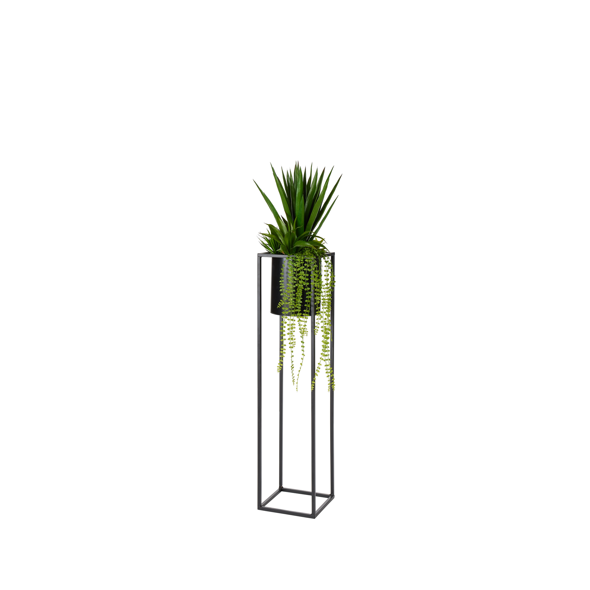 COMPOSITION DE PLANTES GRASSES DANS PRESENTOIR METAL -
