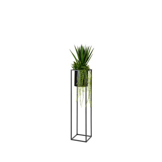 COMPOSITION DE PLANTES GRASSES DANS PRESENTOIR METAL -