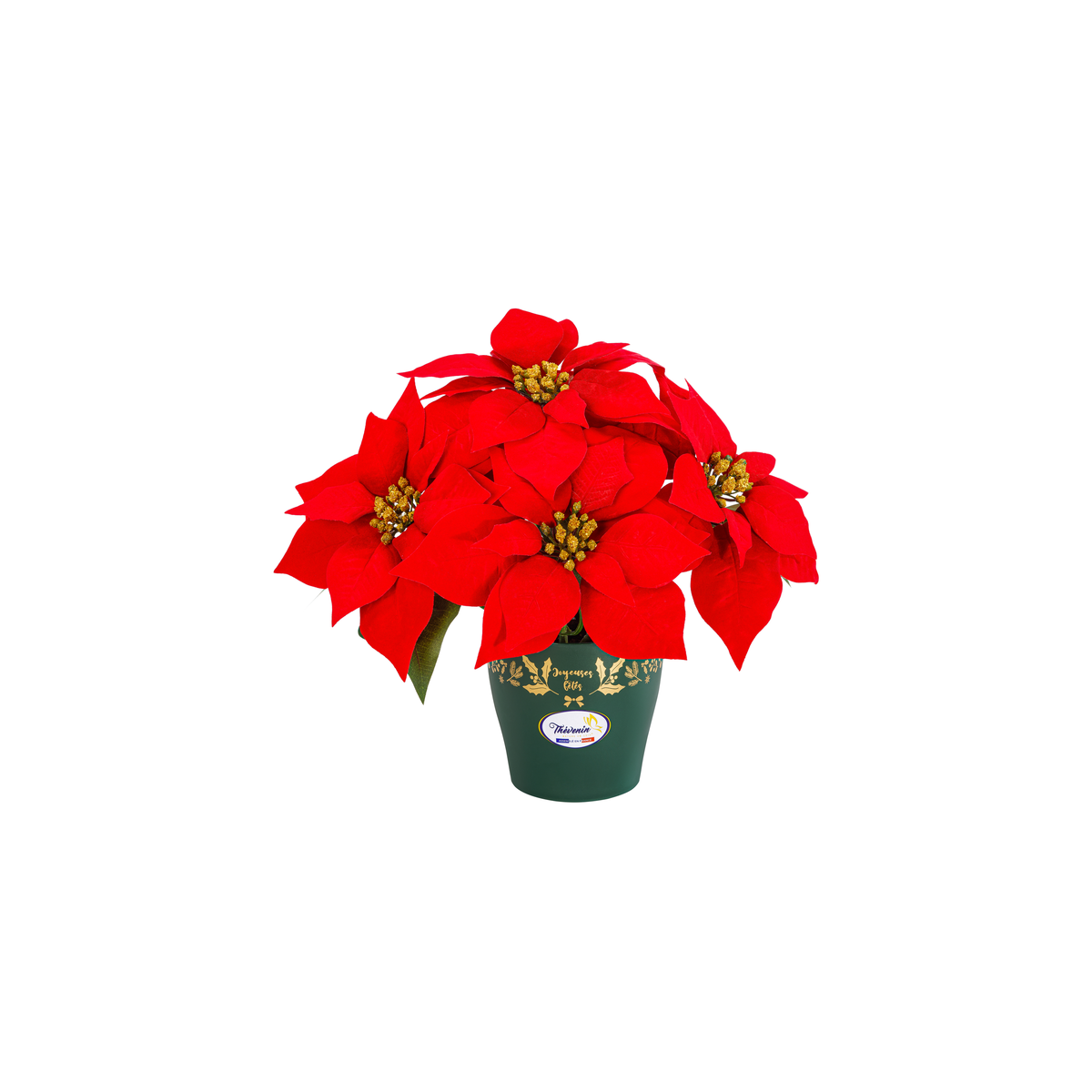 Pot Noel Chic De Poinsettias