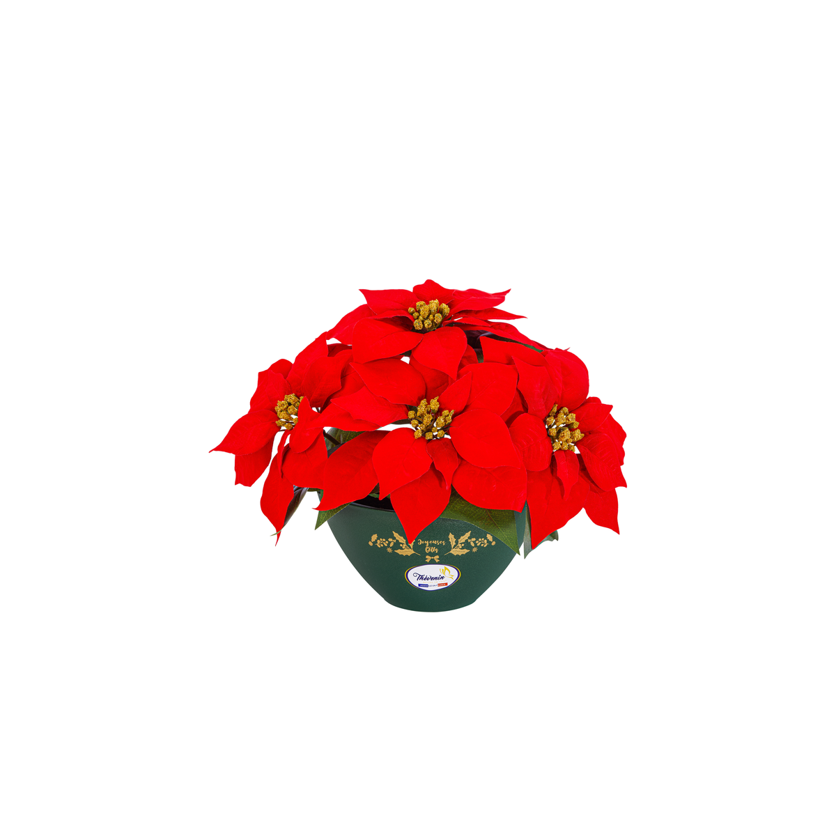 Coupe Noel Chic De Poinsettias Haut De Gamme