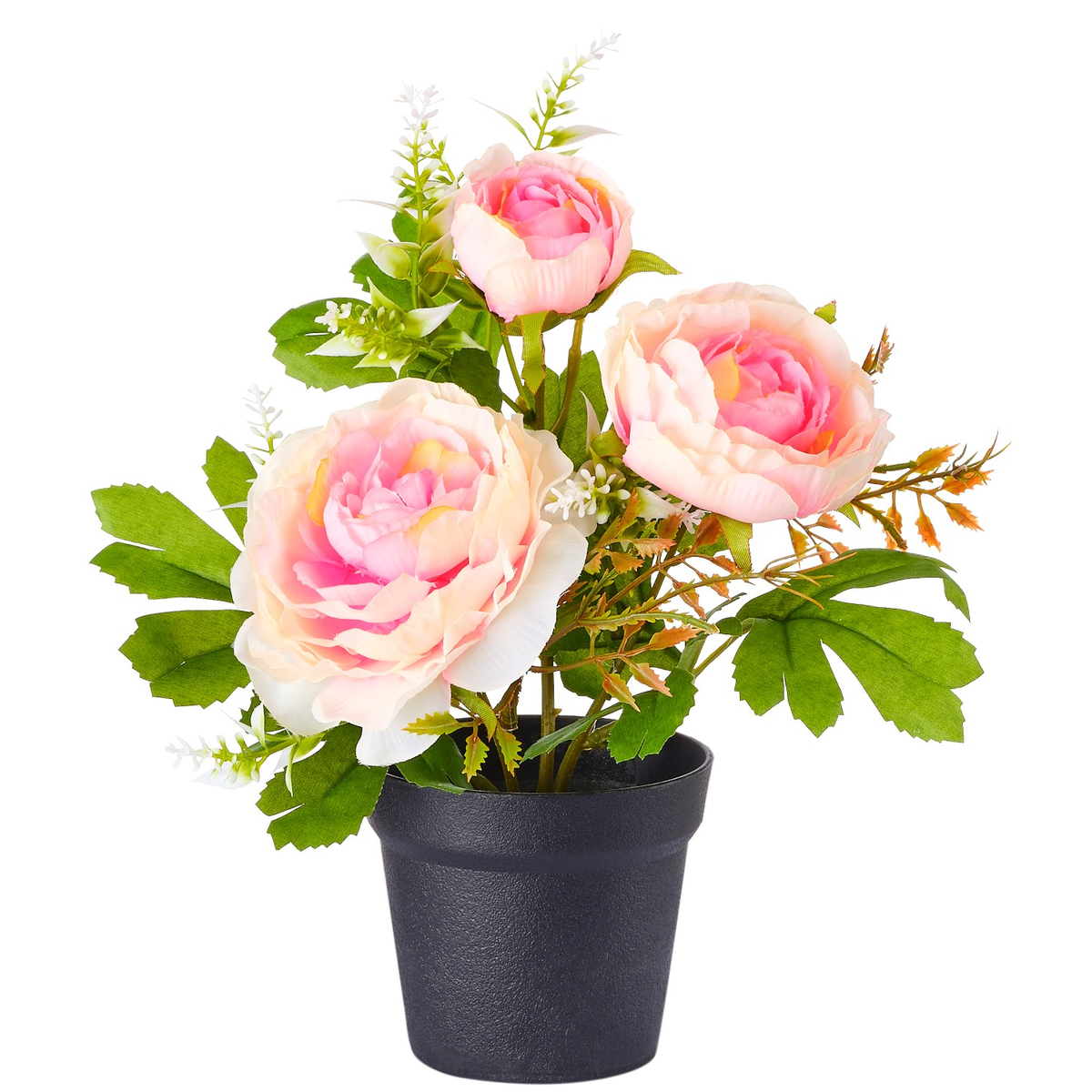 POT DE CAMELIAS