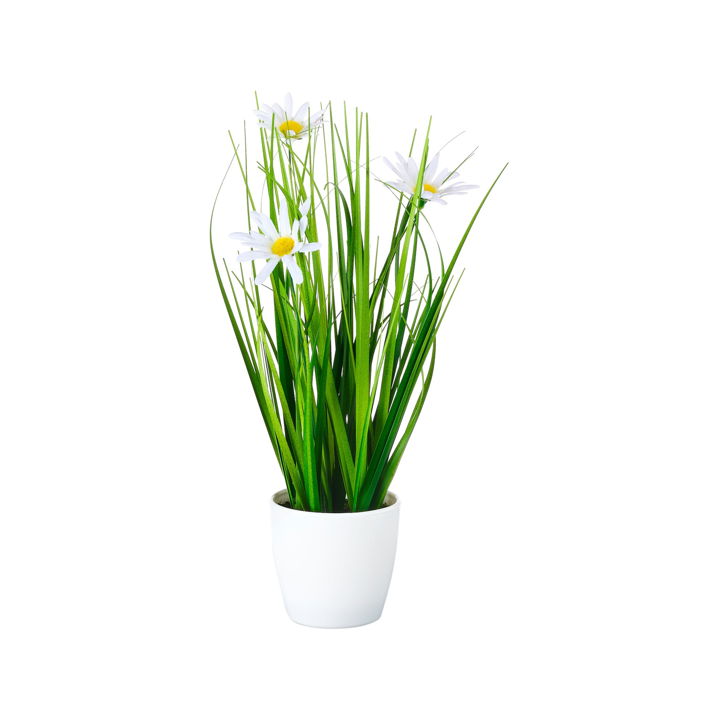POT DE MARGUERITES ET HERBES HAUTES