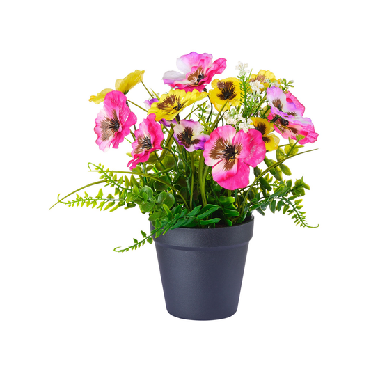 POT DE PENSEES