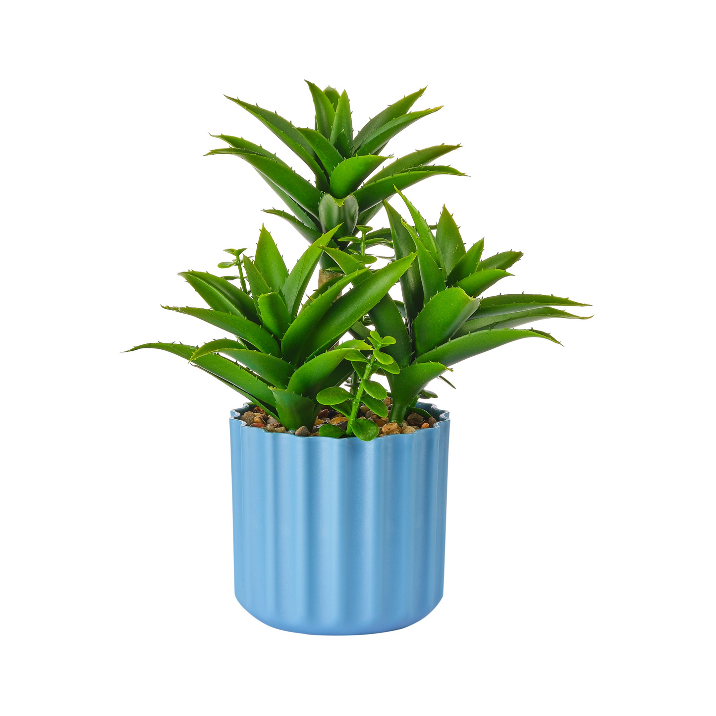 POT BLEU COTELE DE PLANTES GRASSES