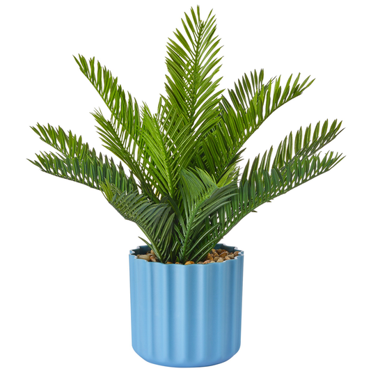 PHOENIX EN POT BLEU
