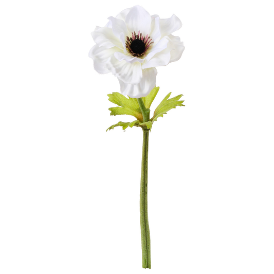 TIGE D'ANEMONES