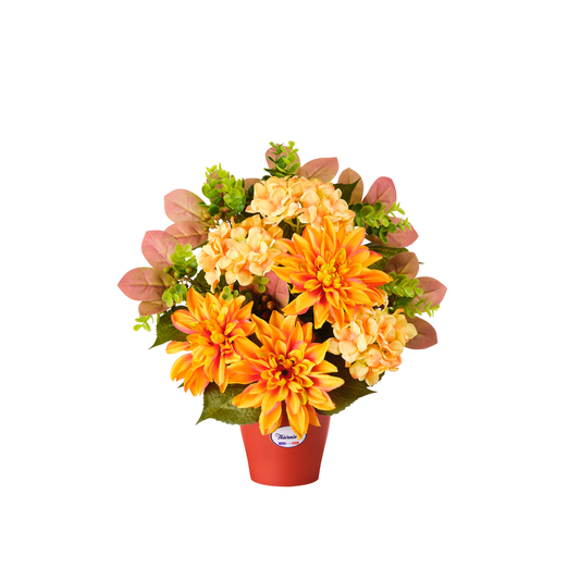 COMPOSITION DE DAHLIAS/HORTENSIAS DANS POT TERRACOTA