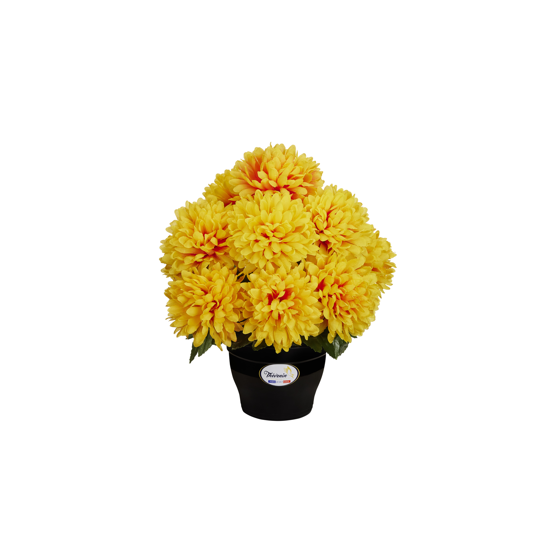 Pot De Chrysanthemes - Coloris Assortis