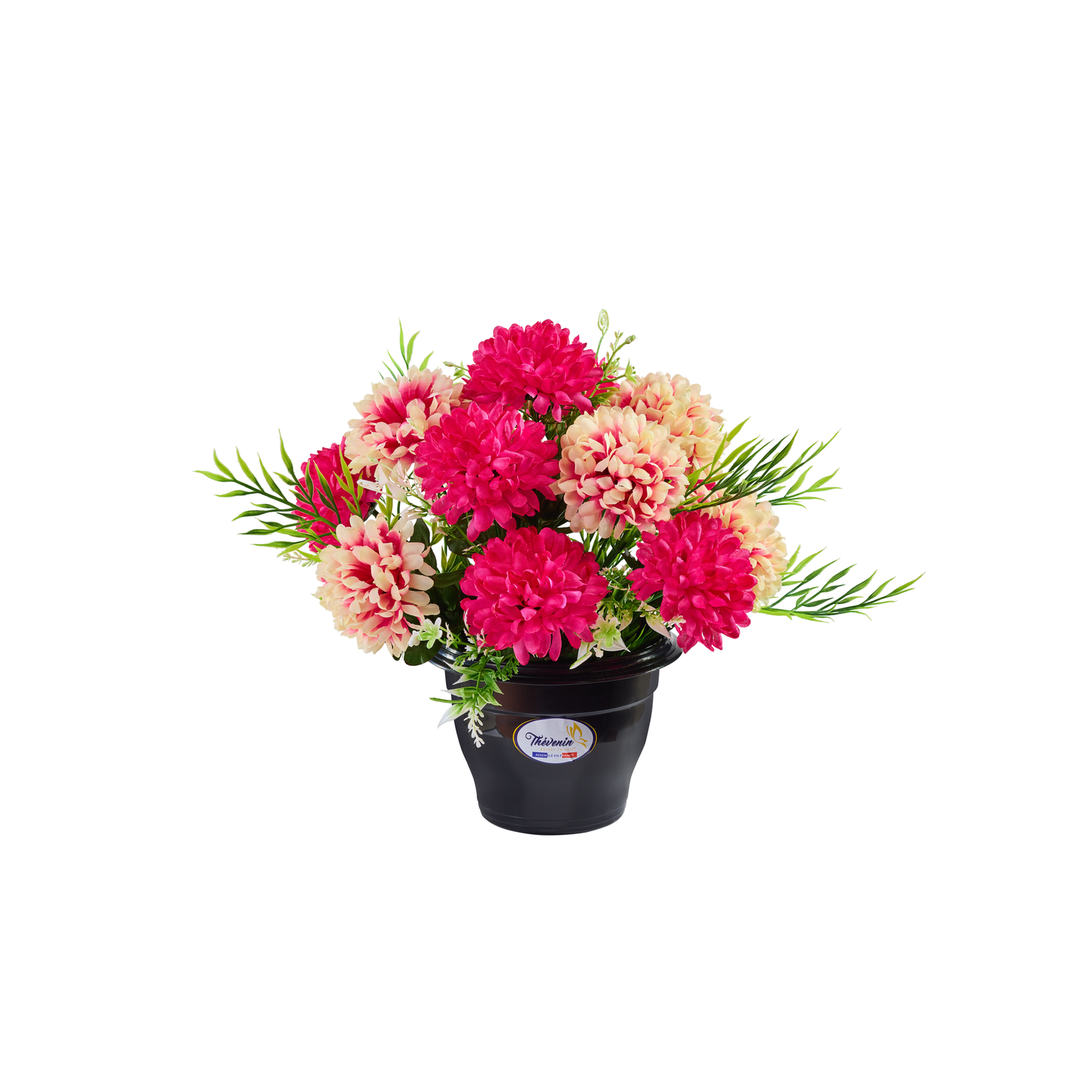 POT DE POMPONNETTES BICOLORES