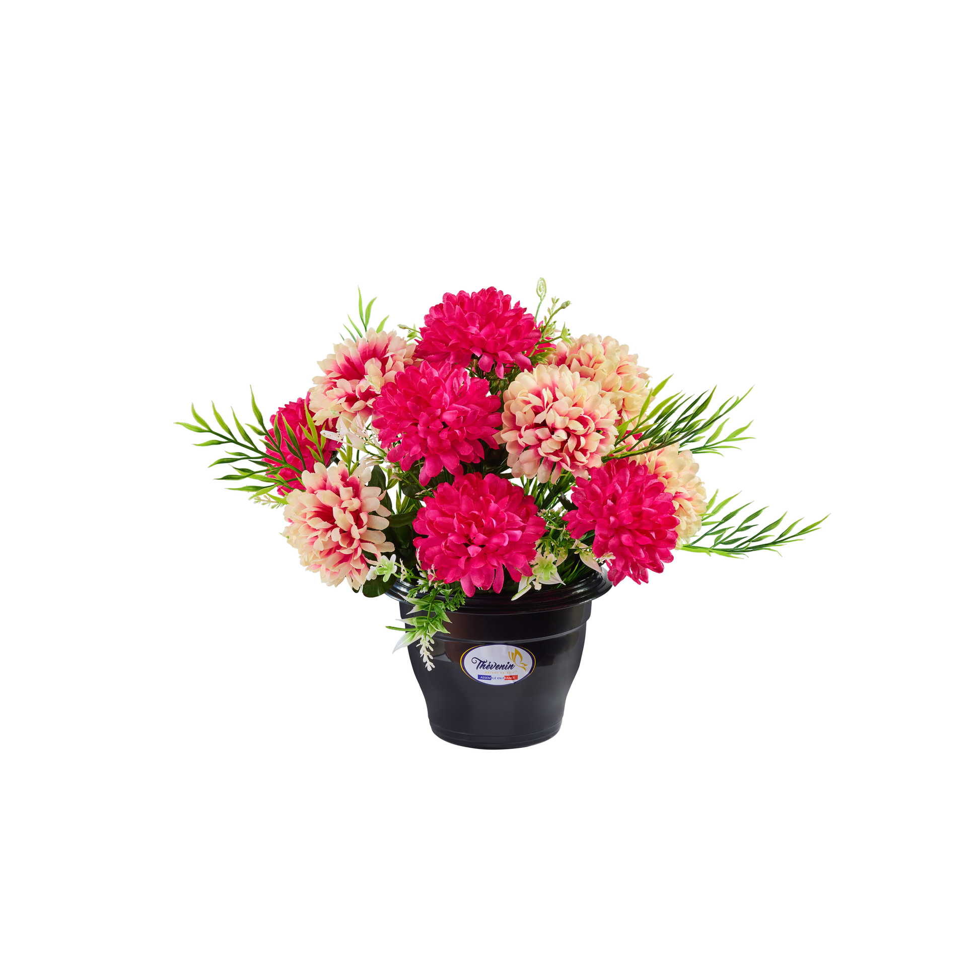 POT DE POMPONNETTES BICOLORES