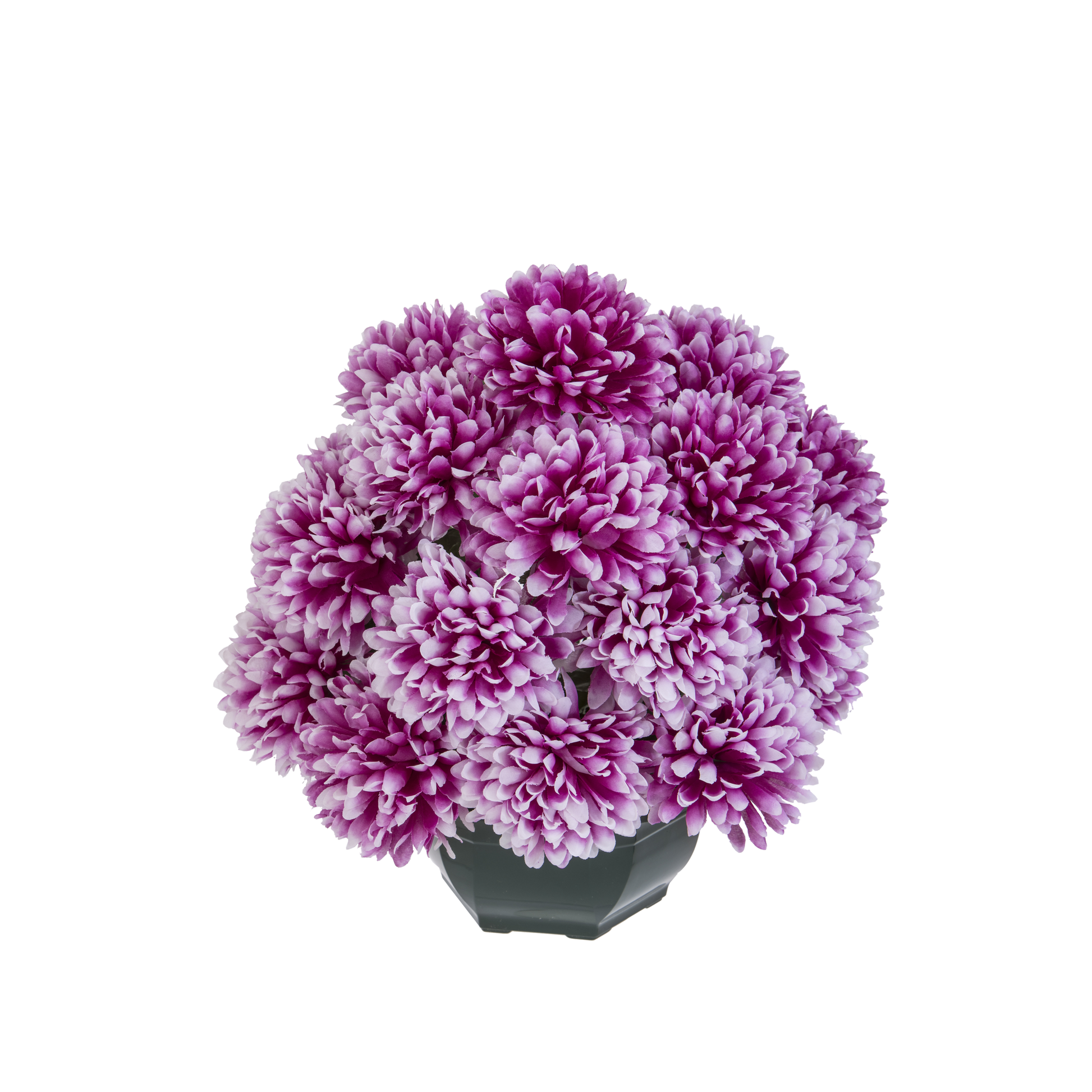 Coupe De Chrysanthemes M - Coloris Assortis