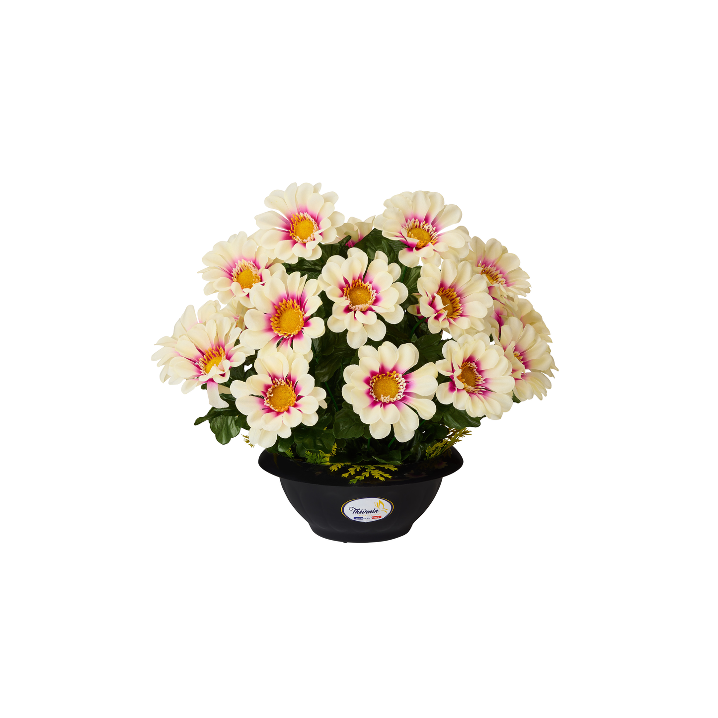 COUPE DE ZINNIAS