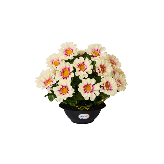 COUPE DE ZINNIAS