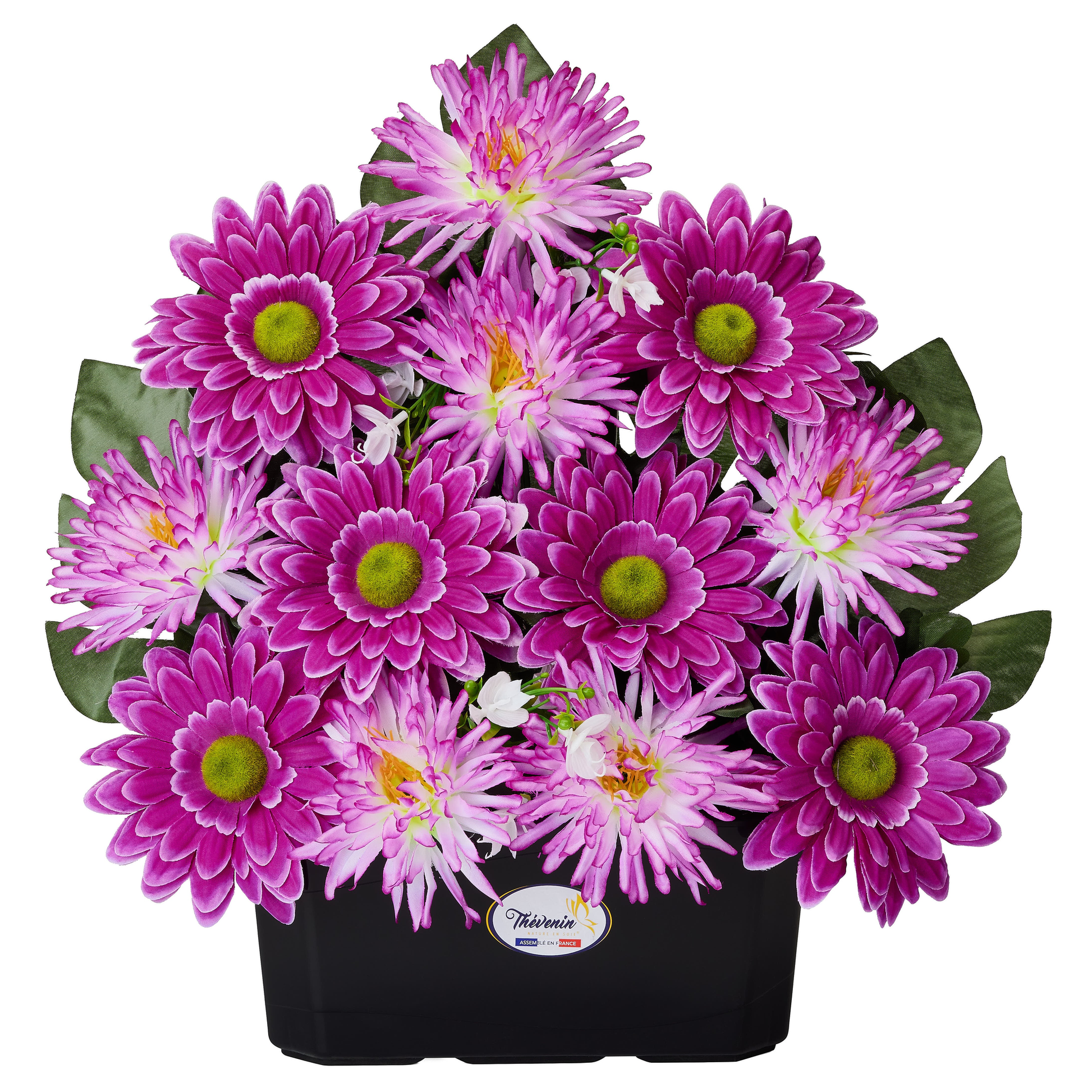 JARDINIERE DE GERBERAS/TOKYOS