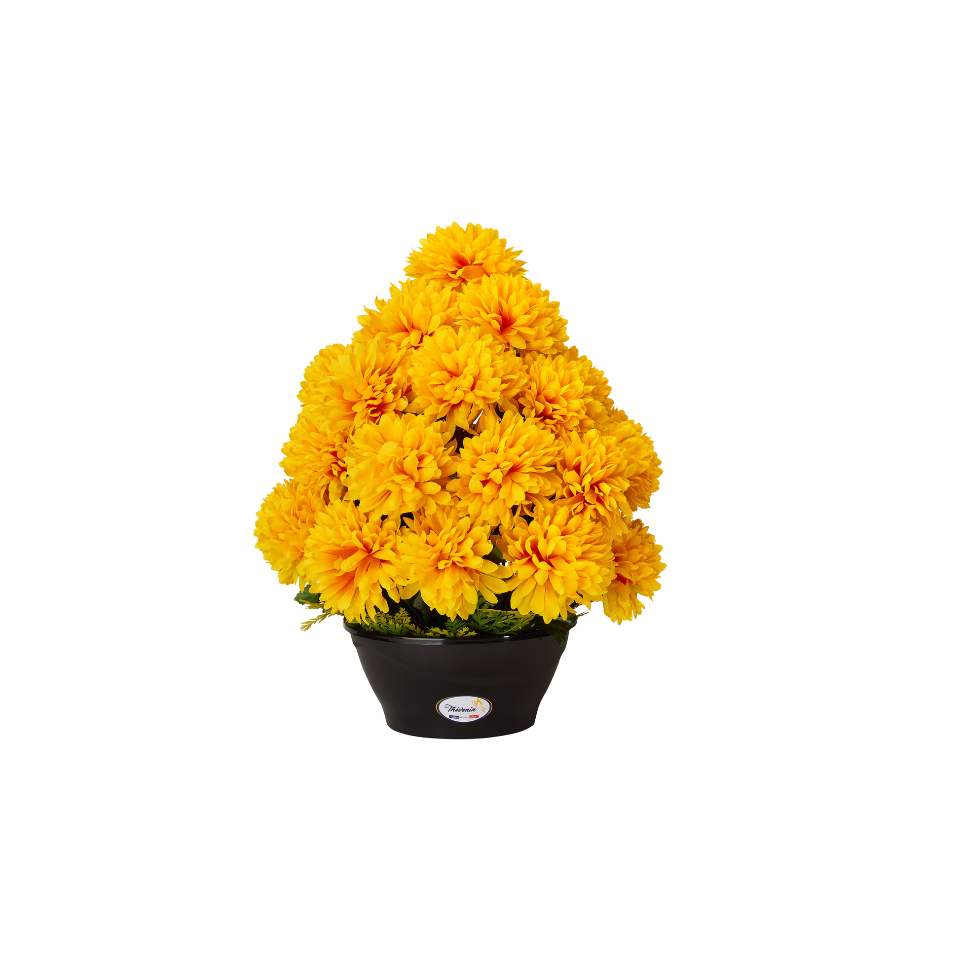 Coupe De Chrysanthemes L - Coloris Assortis