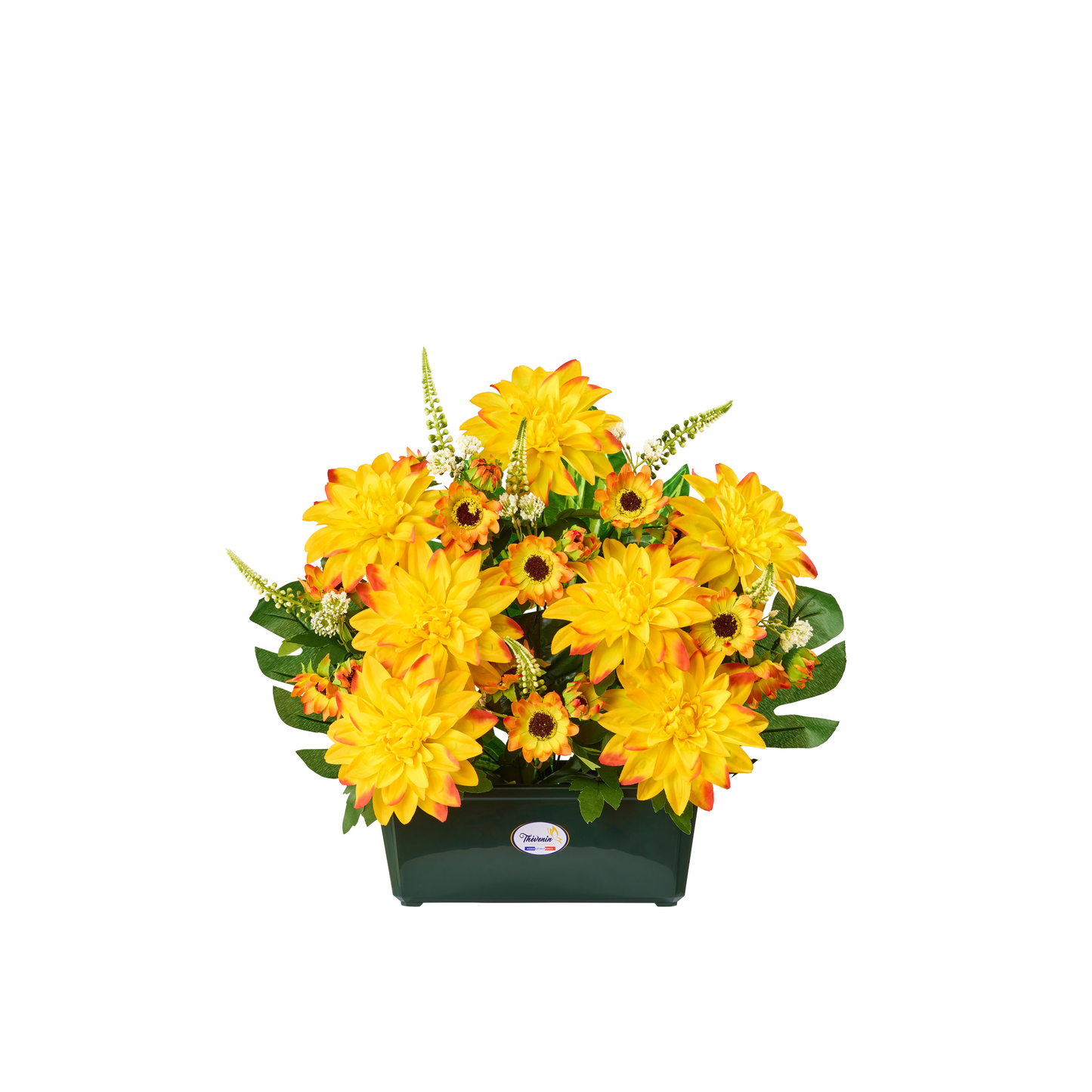 Jardiniere De Dahlias/Germinis