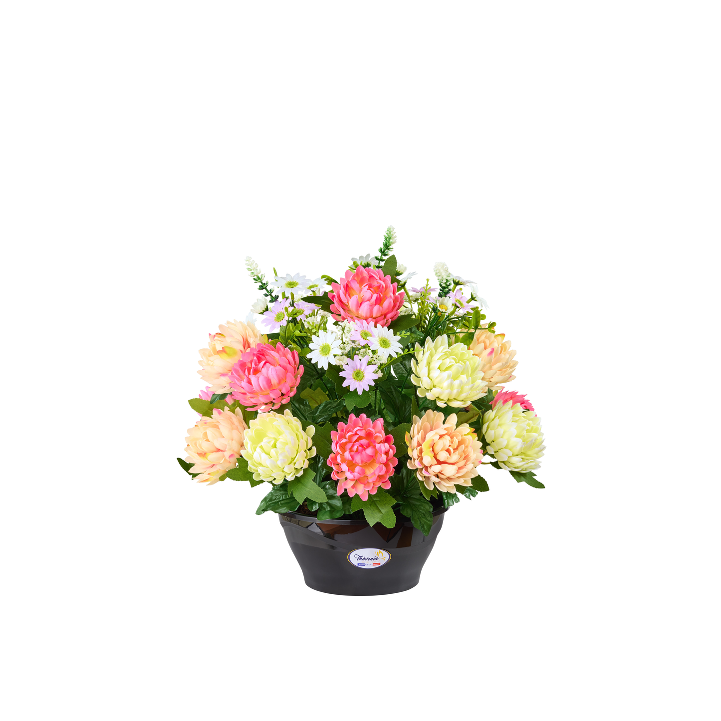 Coupe De Chrysanthemes Tricolores/Fleurettes