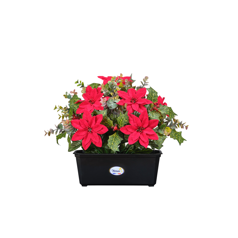 Jardiniere De Poinsettias Baies Et Eucalyptus