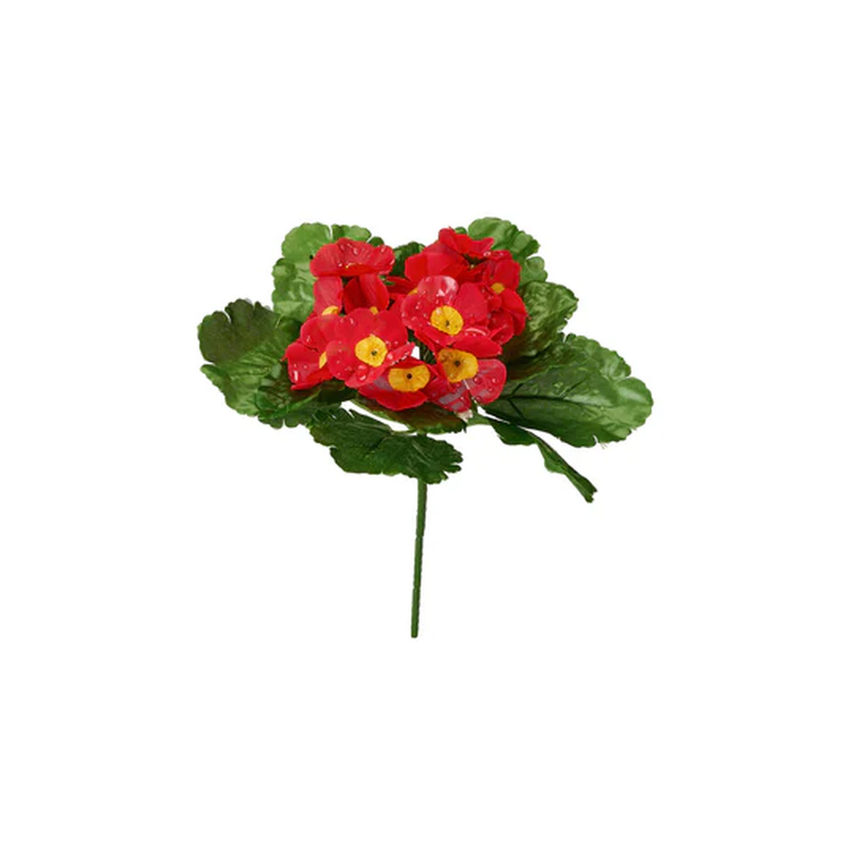 BOUQUET DE PRIMEVERES GOUTTES D'EAU