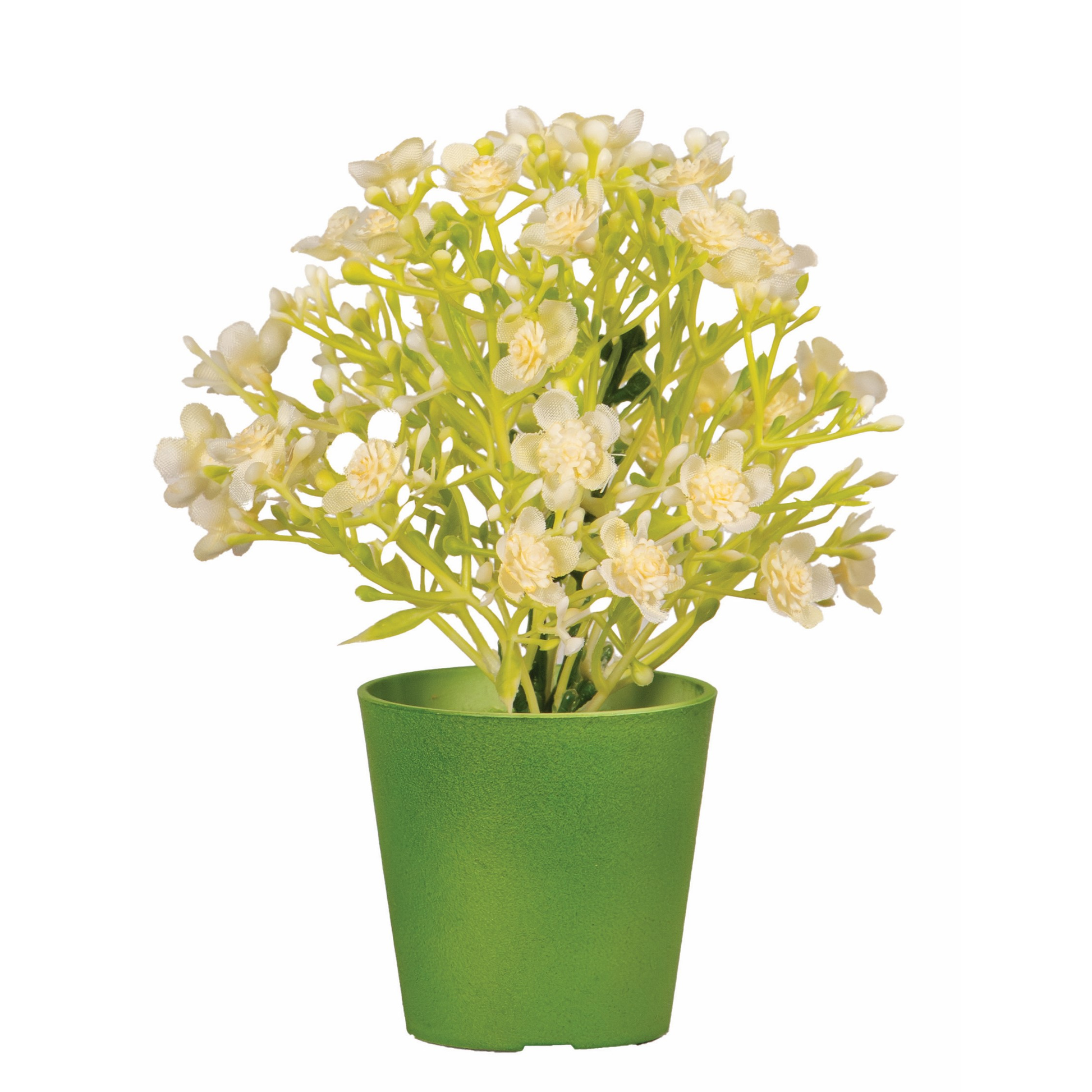 POT COLORE DE GYPSO
