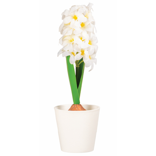 POT DE JACYNTHE