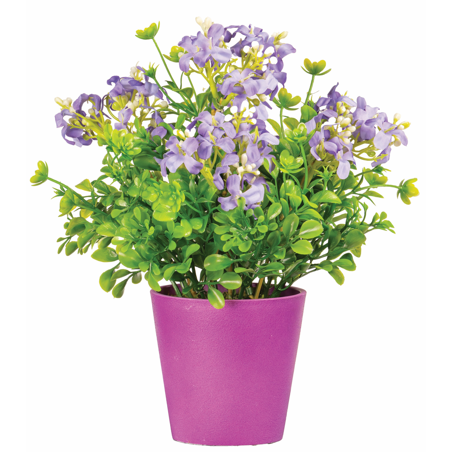 POT COLORE DE THYM
