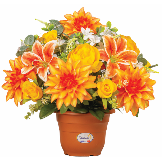 POT DE DAHLIAS RENONCULES ET BOUTONS