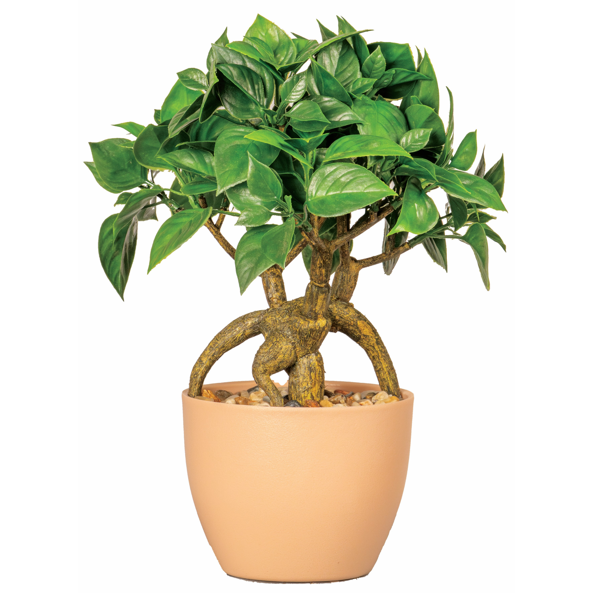 ARBUSTE EN POT SAUMON