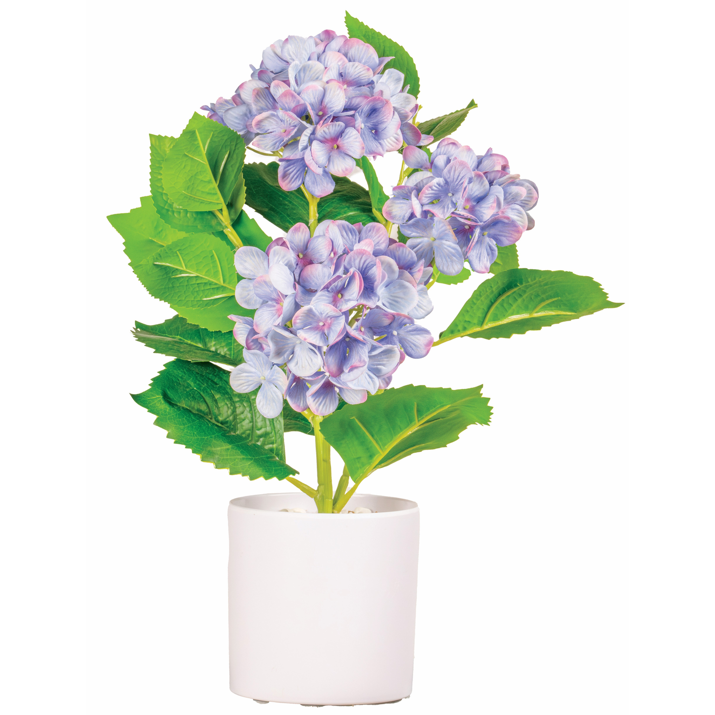 POT BLANC DENTELE D'HORTENSIAS-