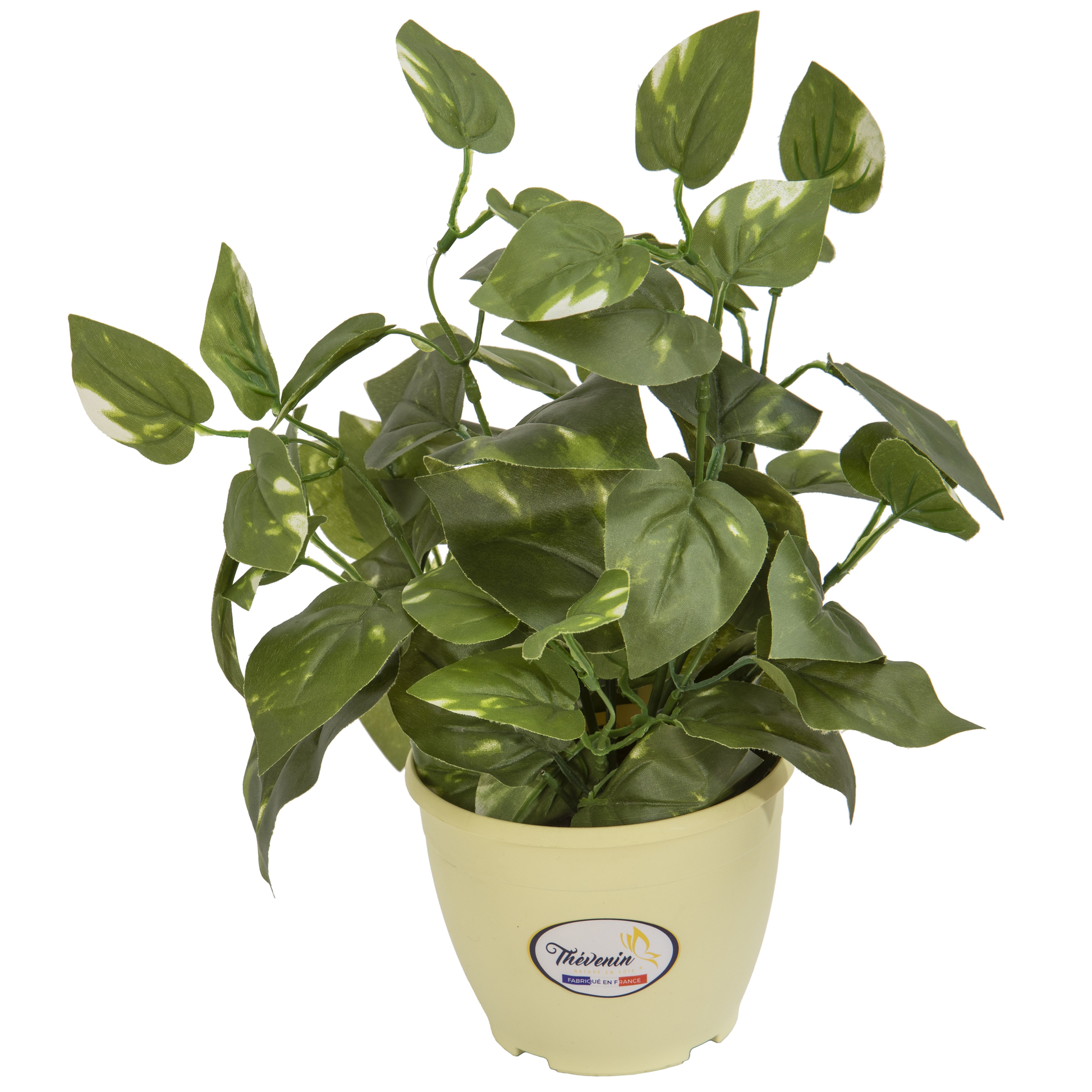 POT COLORE DE PLANTES