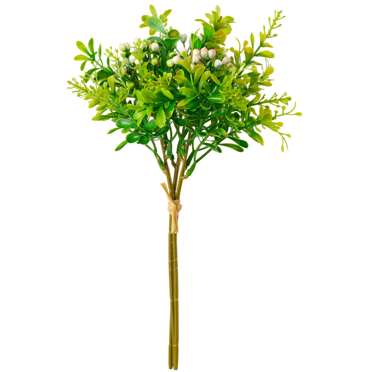 BOUQUET DE PLANTES GRASSES ET BOUTONS