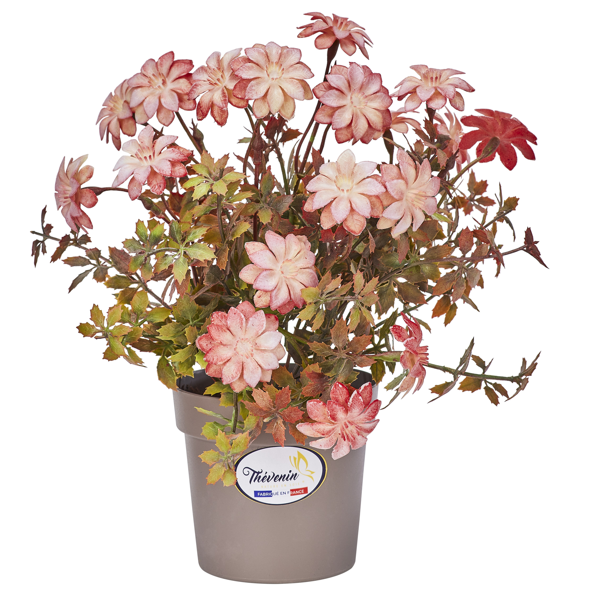 POT DE GERMINIS - EFFET FLEURS SECHEES