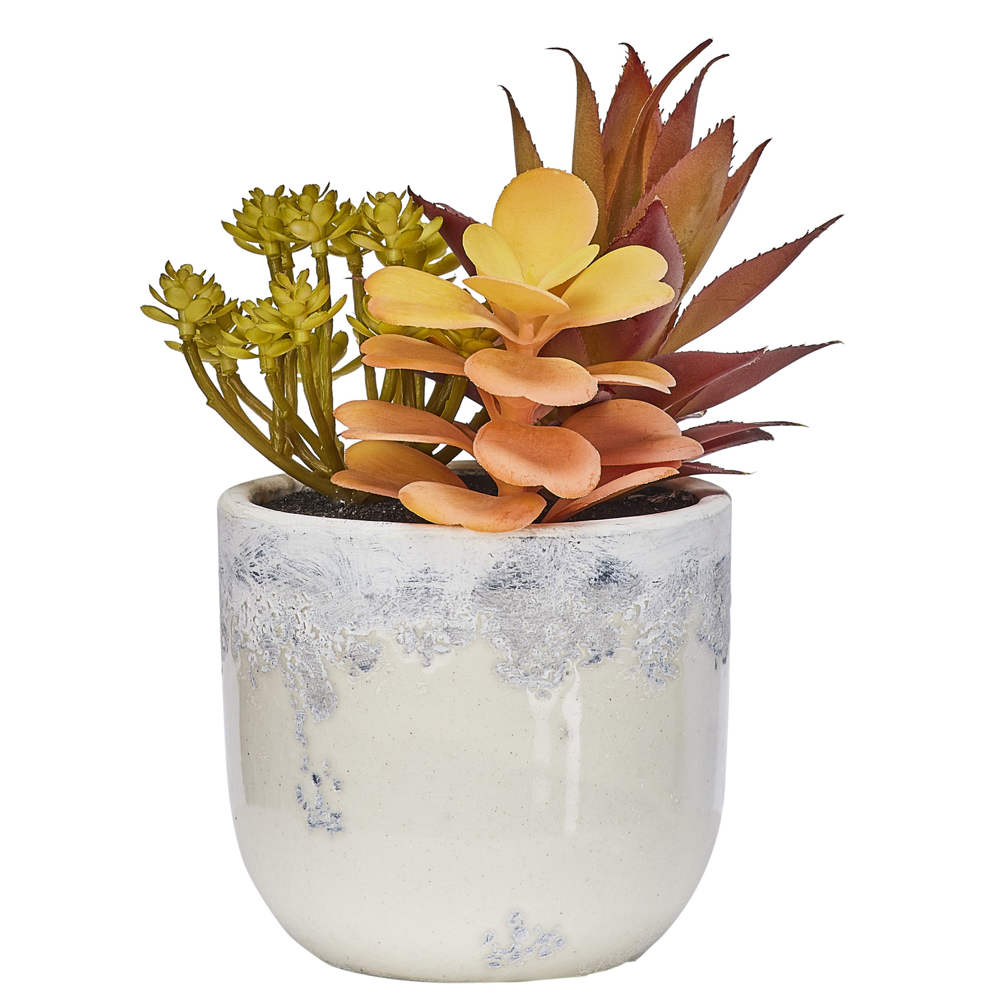 POT DE SUCCULENTES AUTOMNALES