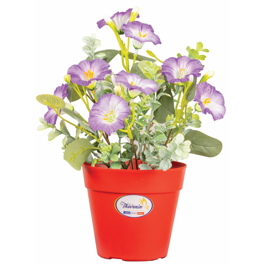 POT RUBIS DE FLEURS DE PRINTEMPS